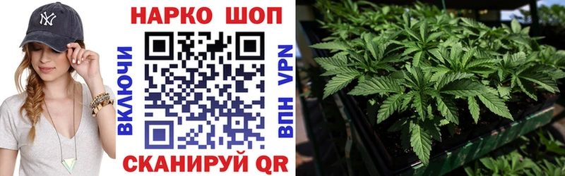 Где найти наркотики Нефтекумск Бошки Шишки  МЕФ  Бутират  Alpha PVP  Гашиш  Cocaine 