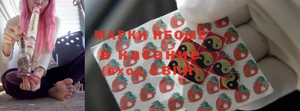 винт Алзамай
