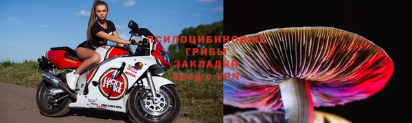 винт Алзамай