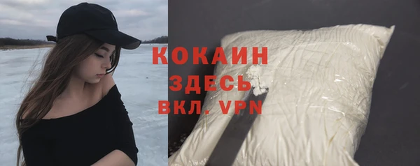 винт Алзамай