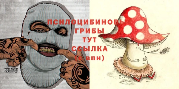 винт Алзамай