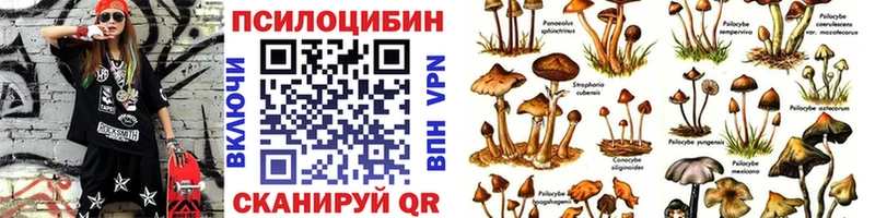 Галлюциногенные грибы прущие грибы  купить  цена  Нефтекумск 