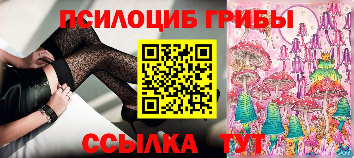 Нефтекумск  купить наркотики цена  Вход с VPN  Галлюциногенные грибы мицелий  Галлюциногенные грибы прущие грибы 